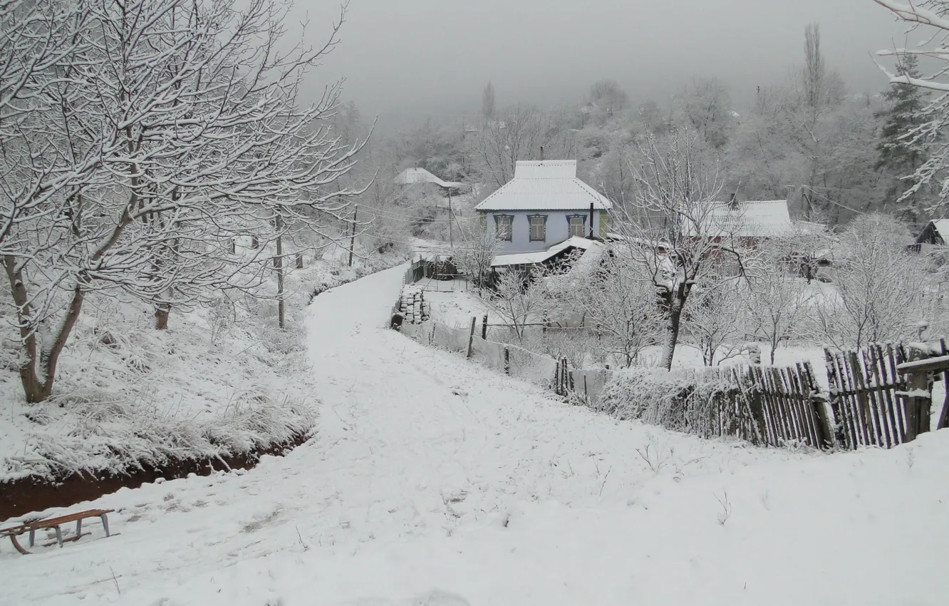 Фото обои зима, Кубань, станица, Akela White, Краснодарский край