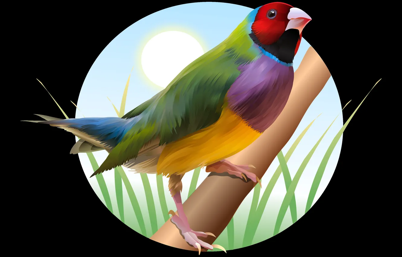 Фото обои солнце, ветки, птица, яркие