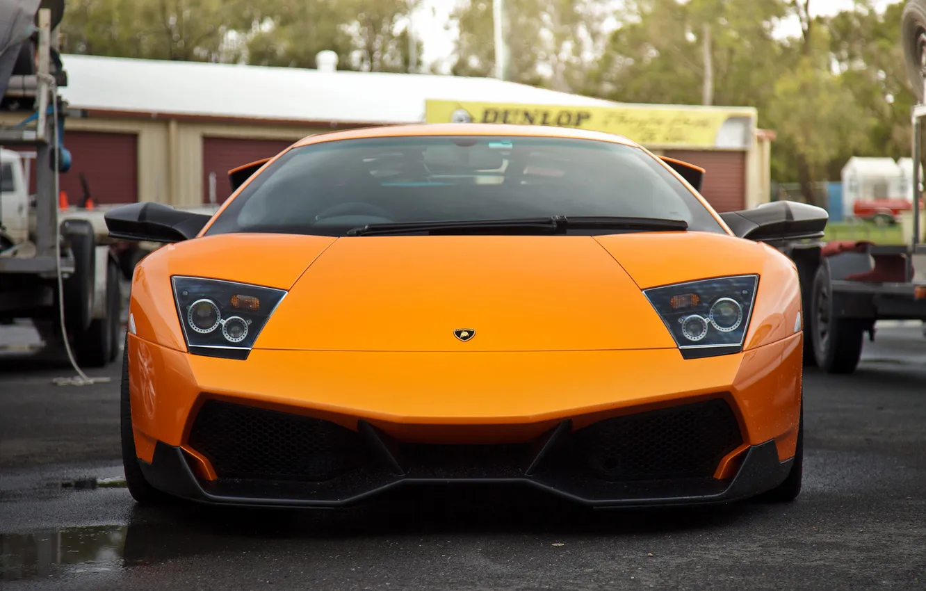 Фото обои lamborghini, murcielago, lp640