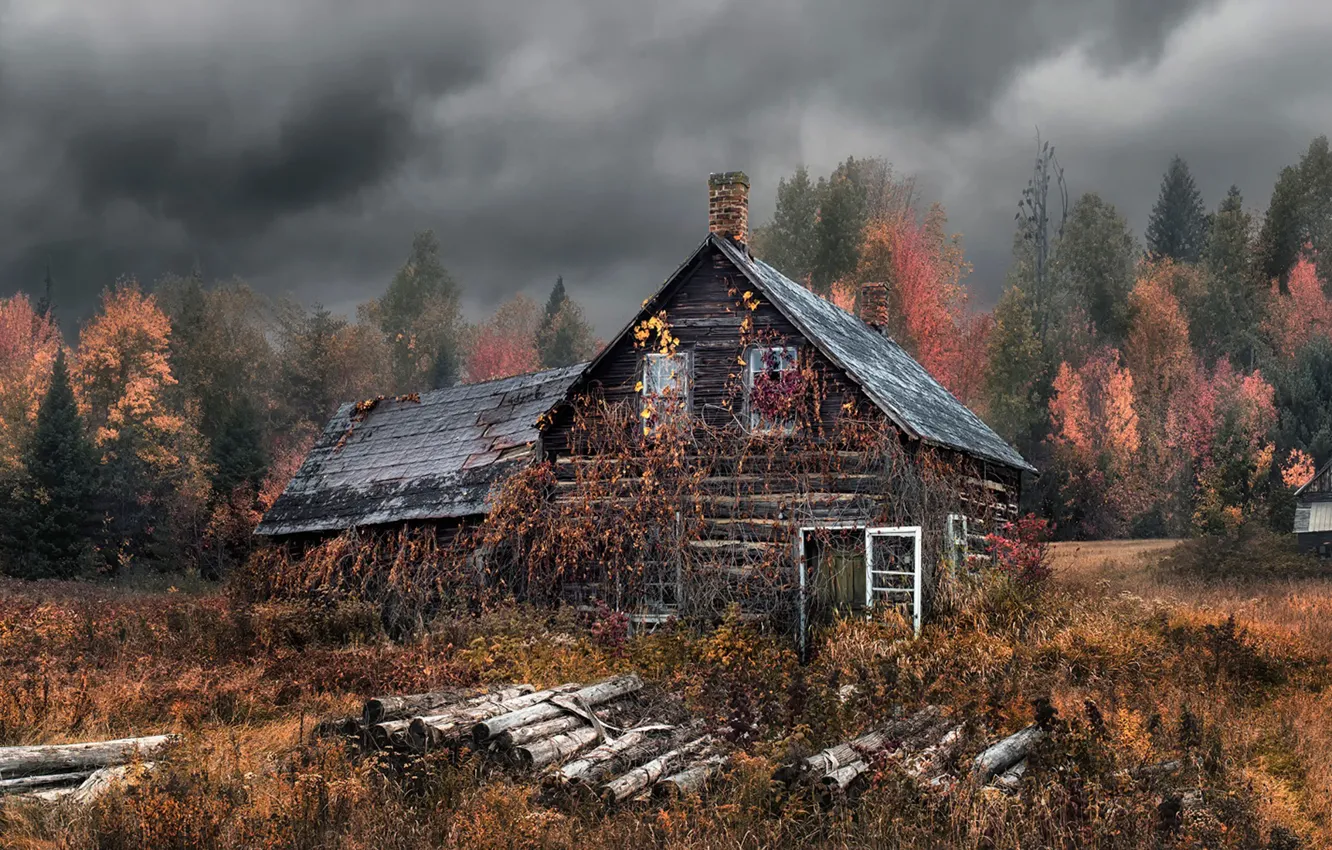 Фото обои осень, лес, дом