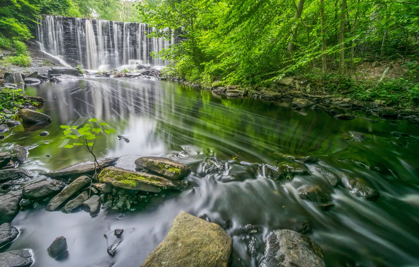 Фото обои лес, река, камни, водопад, Connecticut, Chester, Коннектикут, Pattaconk Brook