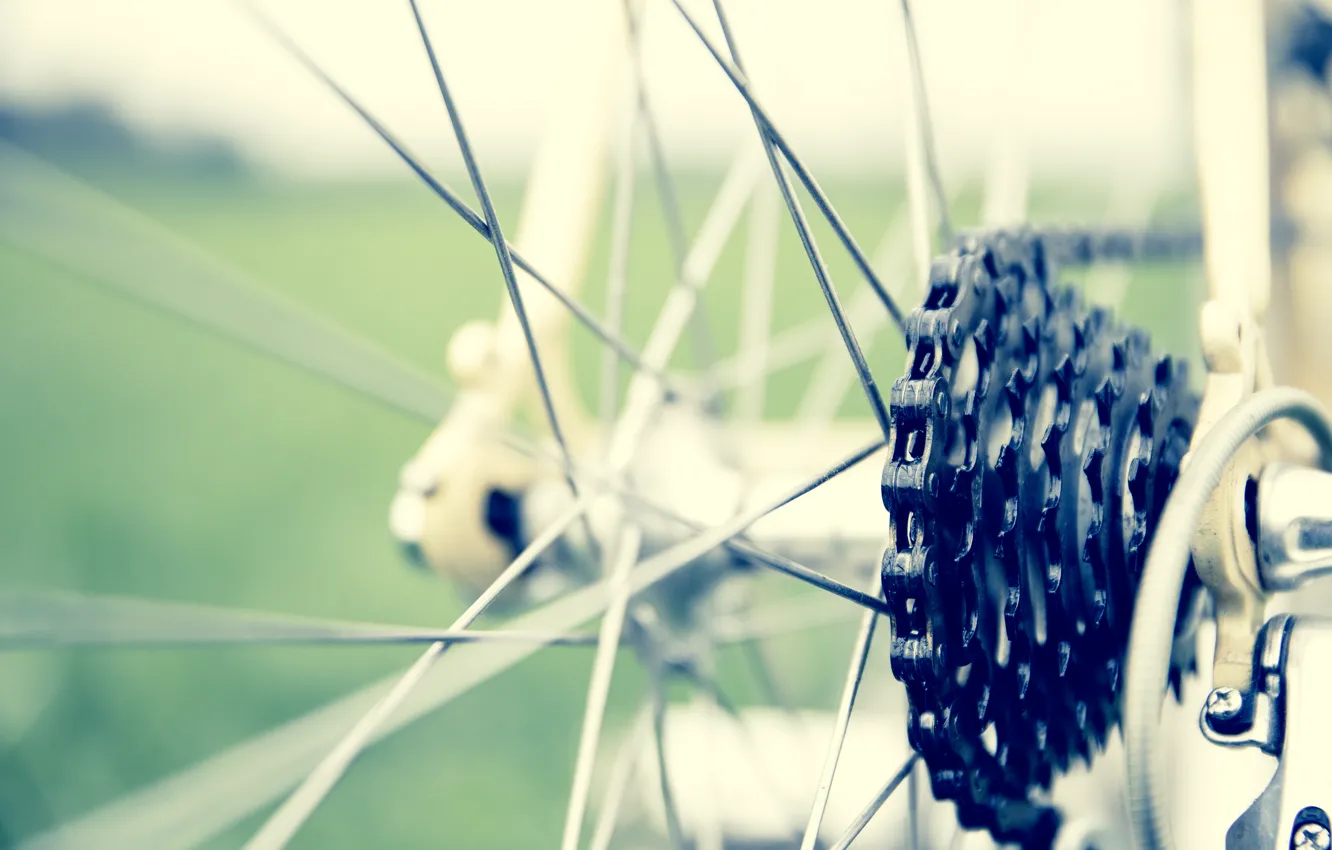 Фото обои велосипед, колесо, цепь, спицы, photo, photographer, звездочка, markus spiske