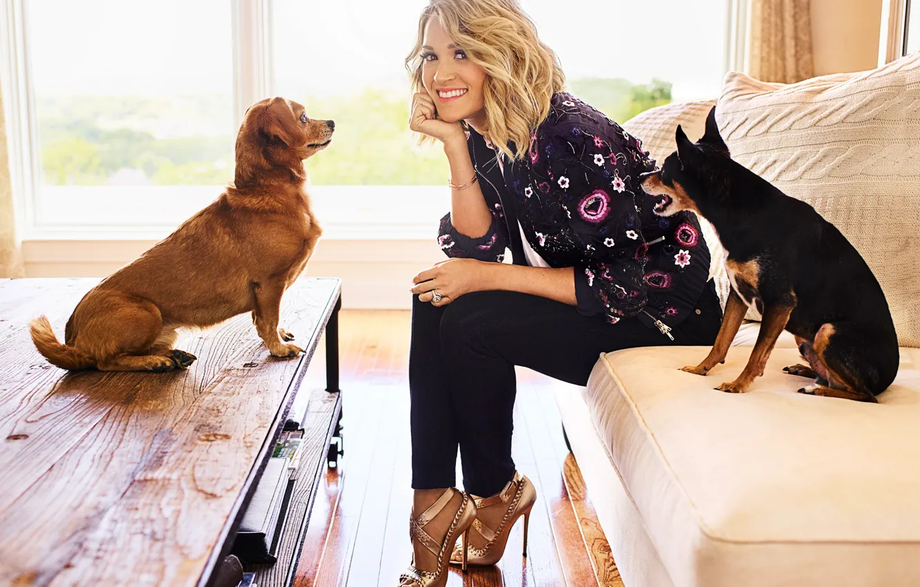 Фото обои собаки, поза, улыбка, окно, прическа, блондинка, певица, Carrie Underwood