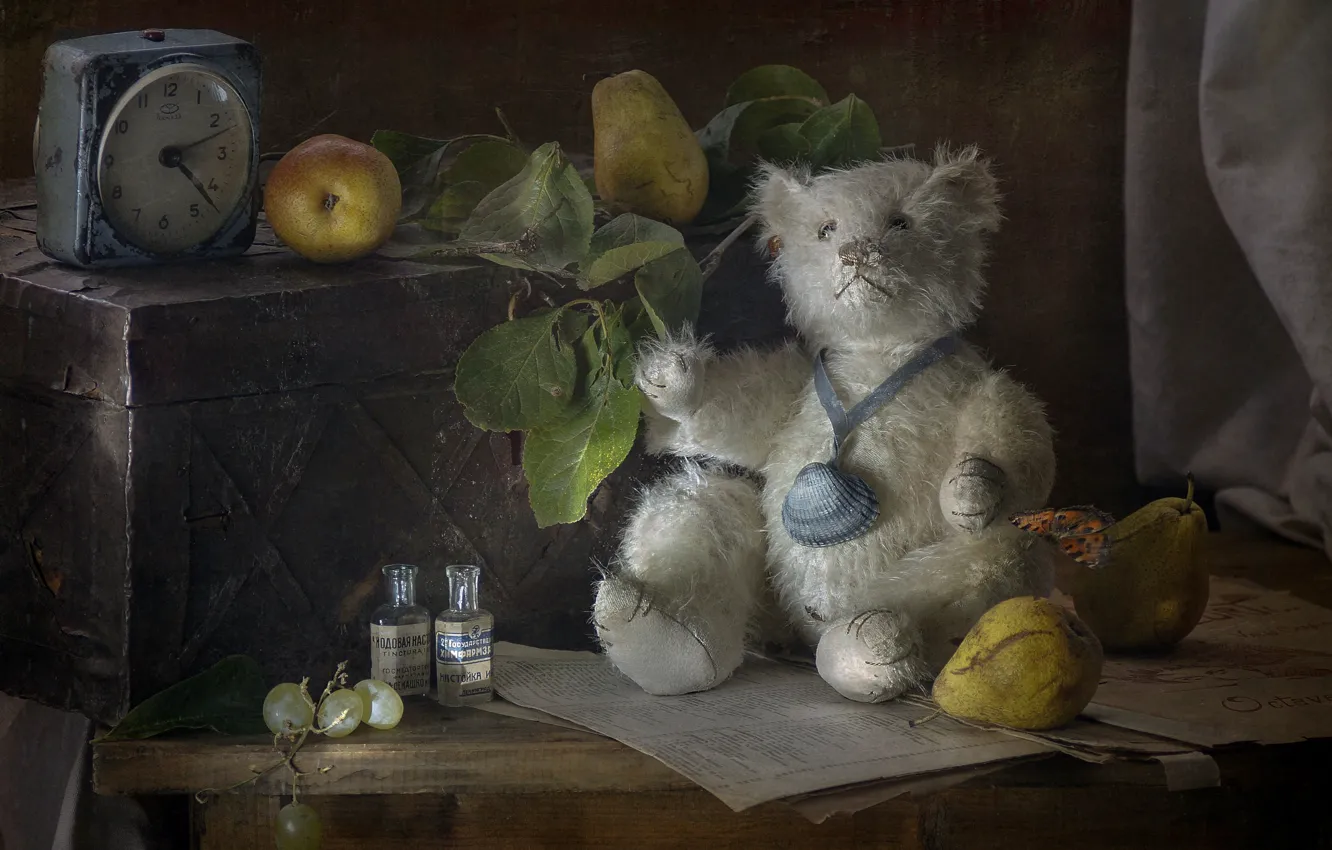 Фото обои игрушка, медведь, мишка, натюрморт, груши