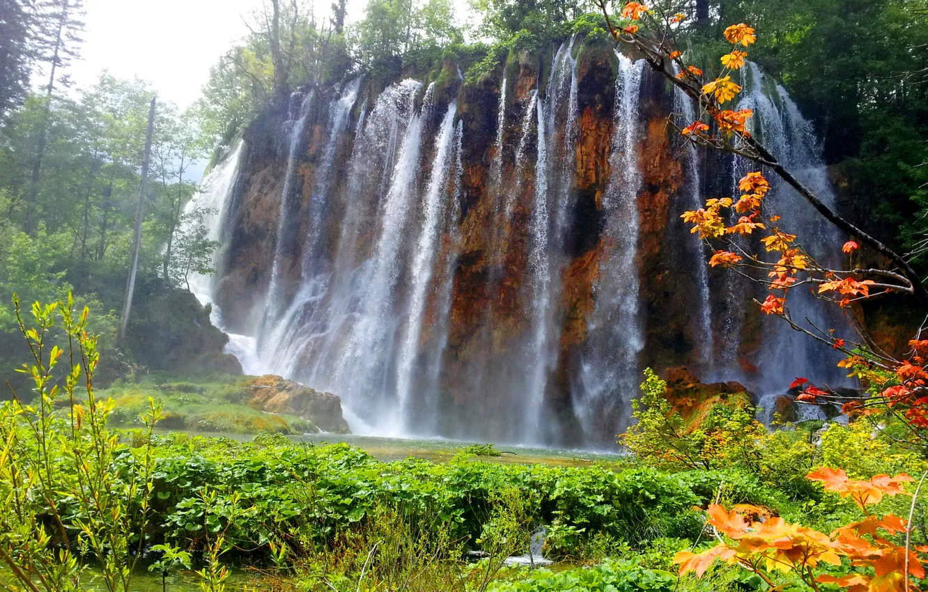 Фото обои природа, парк, фото, водопад