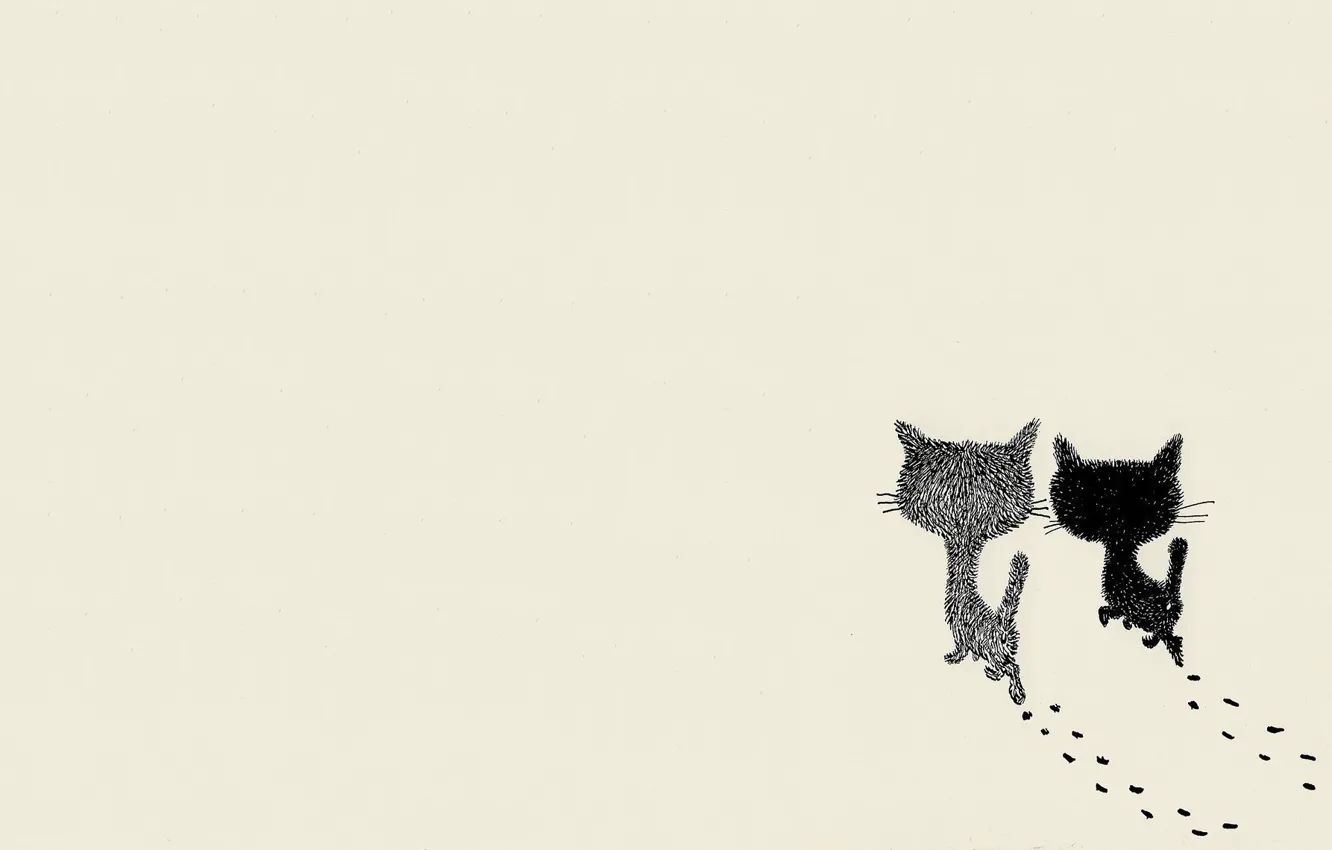 Фото обои кошка, арт, пара, прогулка