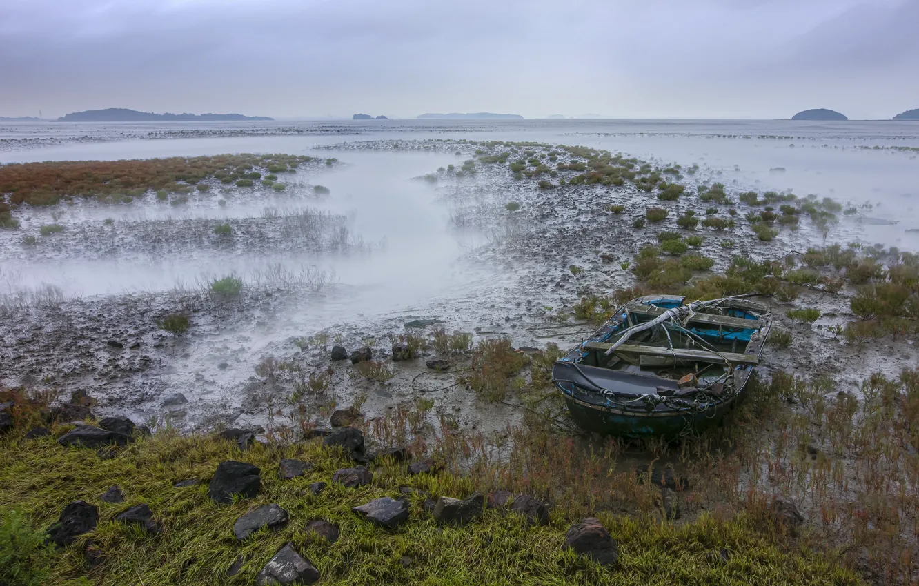 Фото обои небо, водоросли, туман, озеро, камни, холмы, берег, лодка