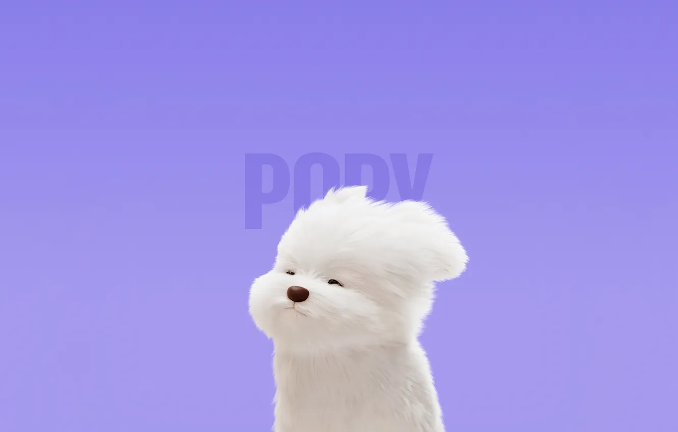 Фото обои Cute cartoon, Maltese Dog