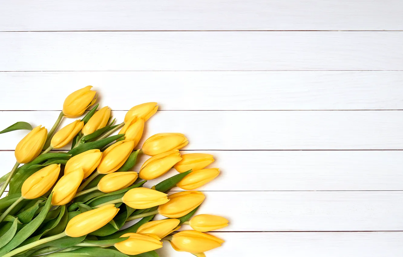 Фото обои цветы, букет, желтые, тюльпаны, fresh, yellow, flowers, tulips