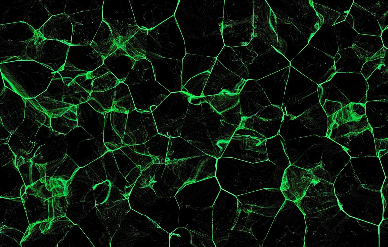 Фото обои абстракция, чёрный фон, зелёные разводы