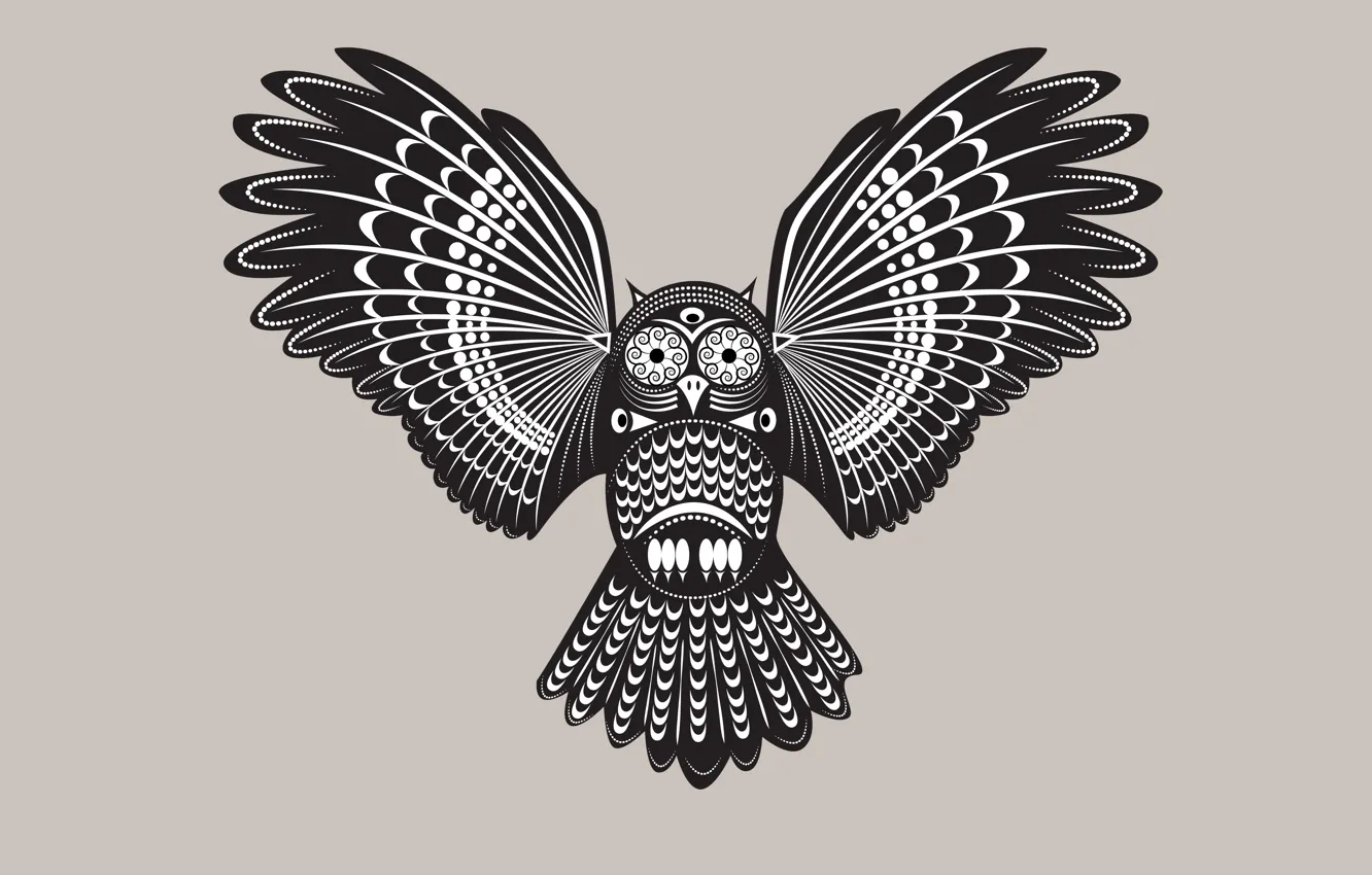 Фото обои сова, птица, светлый фон, owl