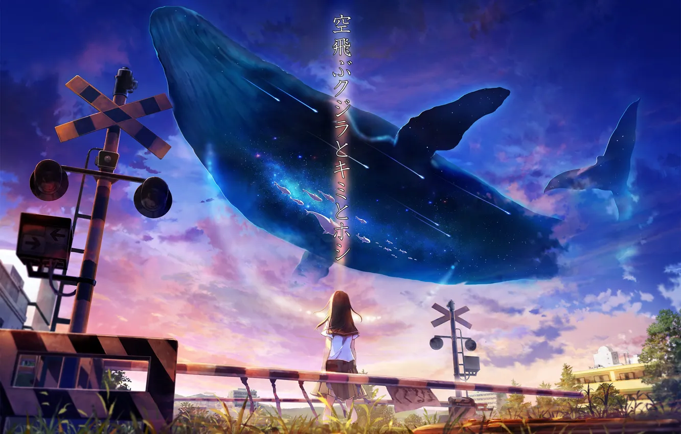 Фото обои небо, девушка, фэнтези, кит, школьная форма
