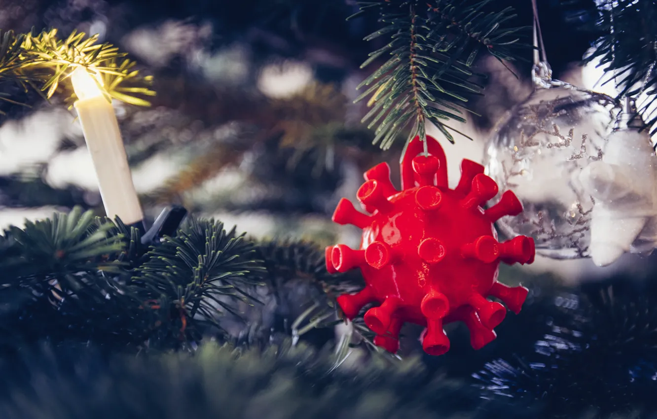 Фото обои ветки, красный, праздник, свеча, шарик, шипы, Рождество, Новый год