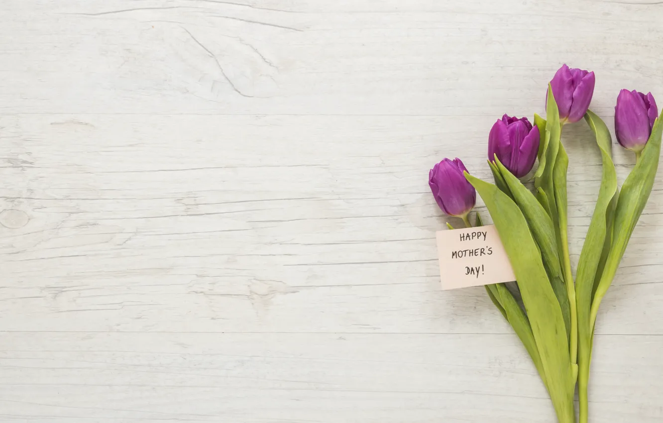 Фото обои цветы, букет, тюльпаны, happy, flowers, tulips, purple, mother's day
