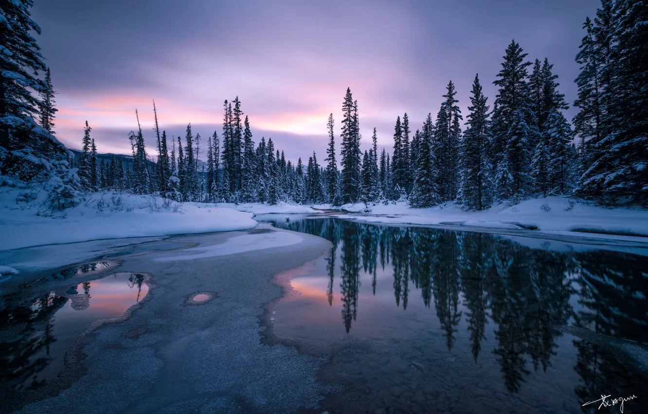 Фото обои зима, лес, небо, снег, деревья, закат, отражение, река