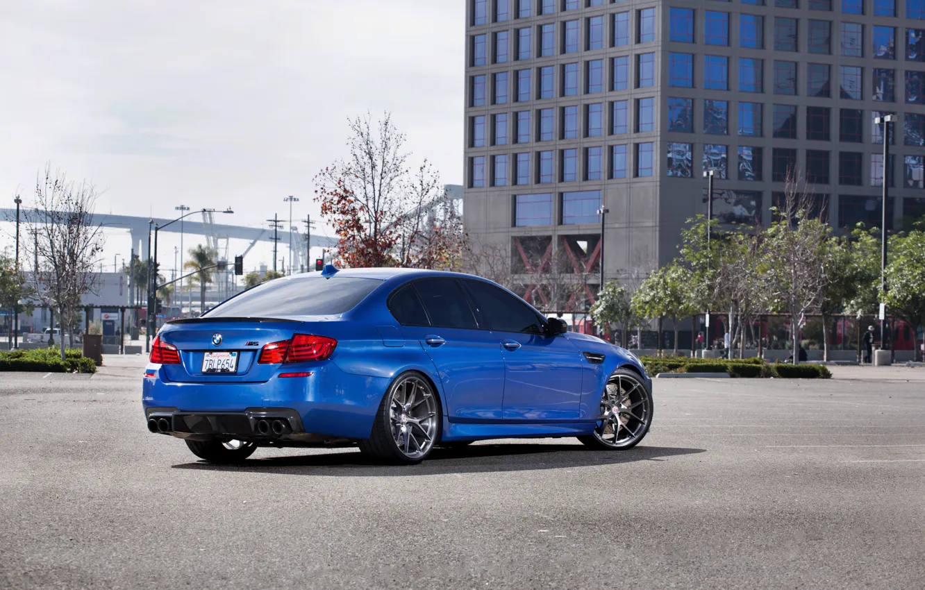 Фото обои синий, отражение, тень, BMW, БМВ, задок, f10, monte carlo blue