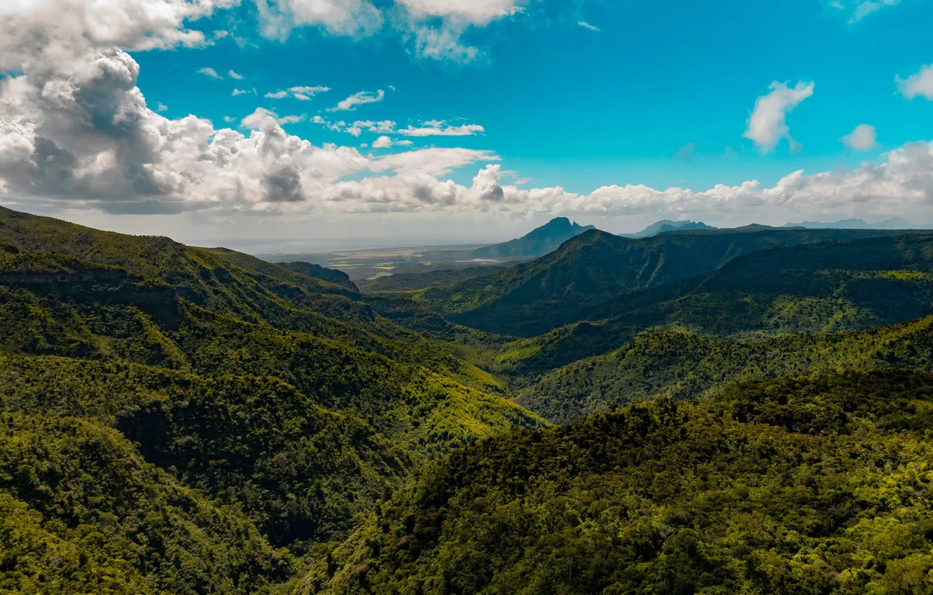 Фото обои зелень, лес, небо, облака, горы, холмы, вершины, даль