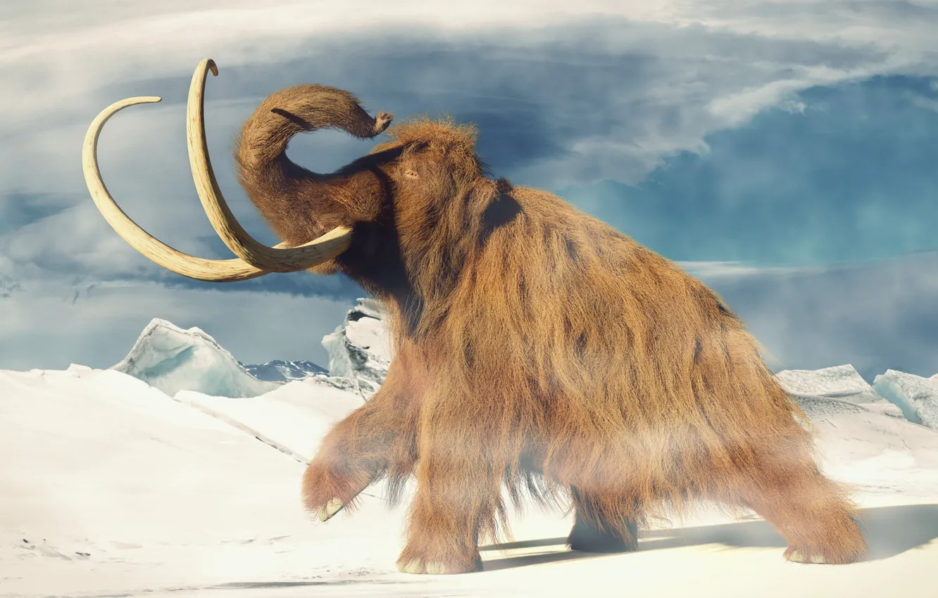 Фото обои Слон, Арт, Мамонт, Mammoth, Бивни, Древние животные, Вымершие животные, Holocene Epoch