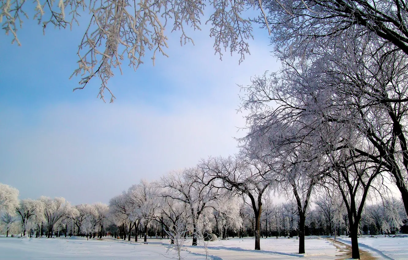 Фото обои зима, иней, дорога, снег, деревья, мороз