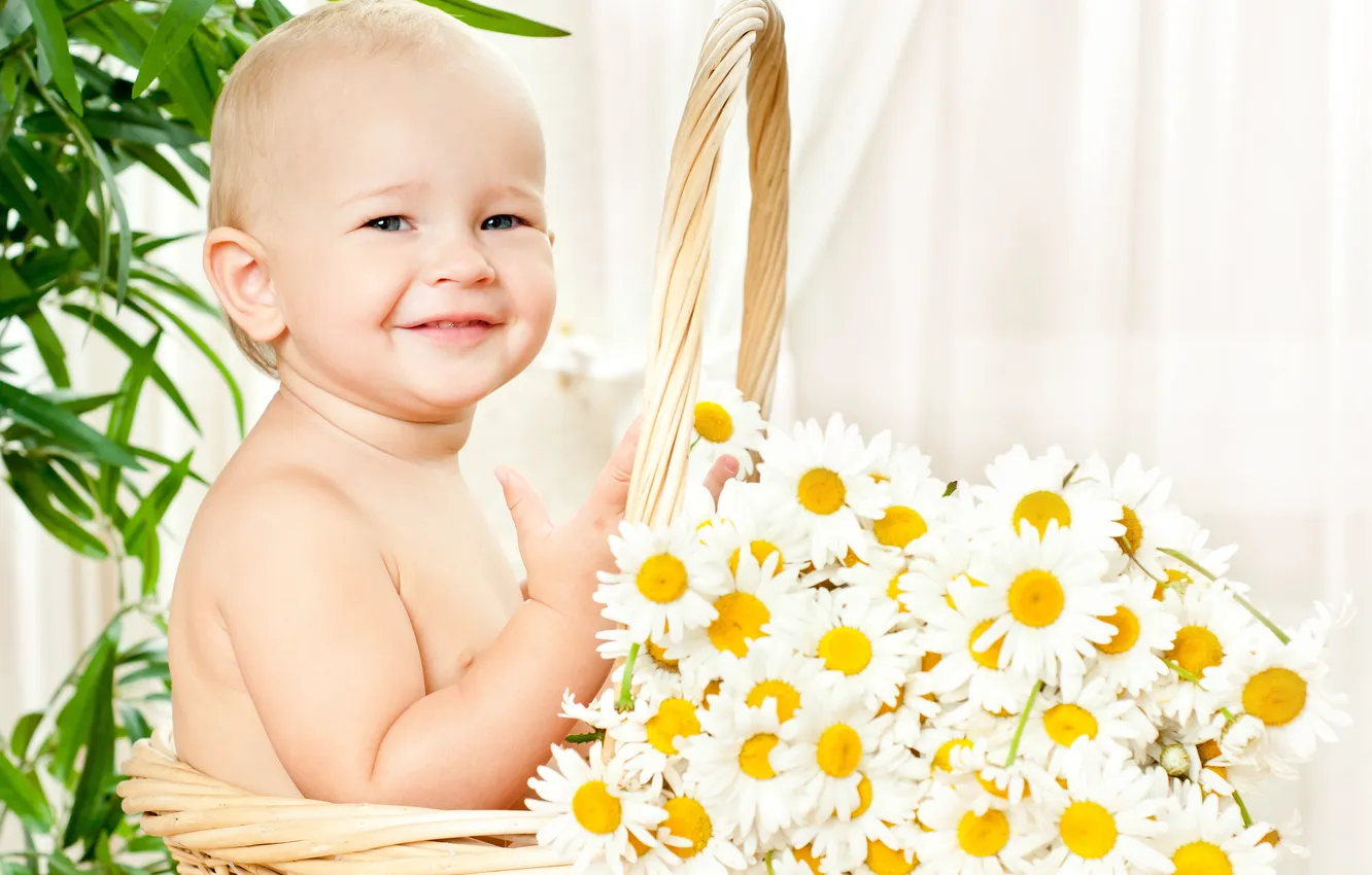 Фото обои цветы, корзина, ромашки, ребёнок, улыбки, цветы жизни
