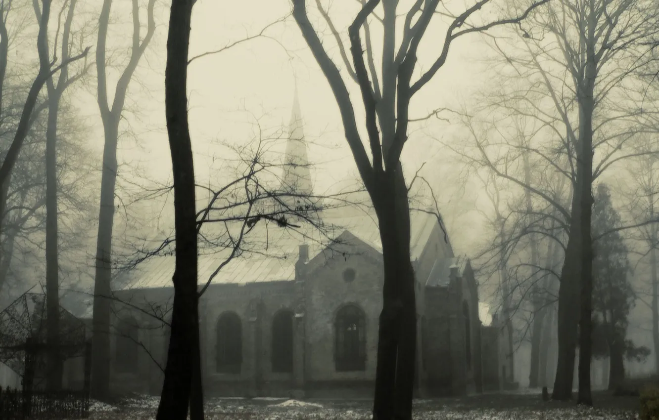 Фото обои зима, туман, мгла, Mist, костел, Church, Fog, Trees