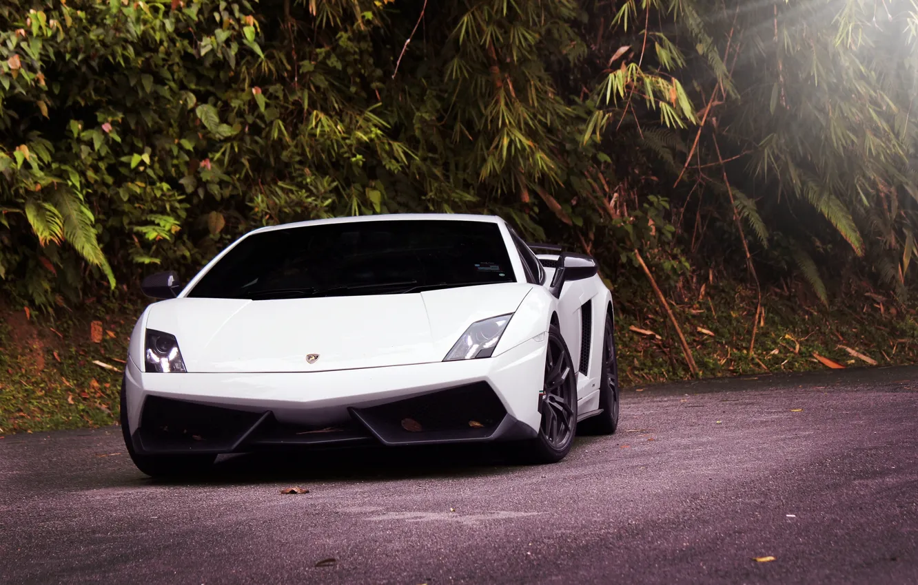 Фото обои дорога, белый, деревья, white, gallardo, lamborghini, вид спереди, свет фар