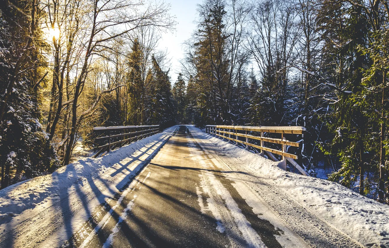 Фото обои зима, дорога, лес, свет, утро