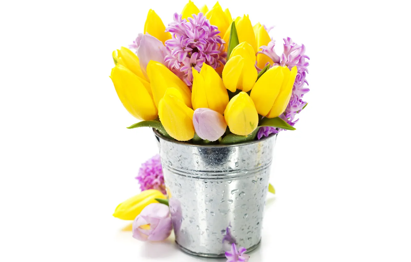 Фото обои цветы, букет, тюльпаны, flowers, tulips, ведерко, bouquet, гиацинты