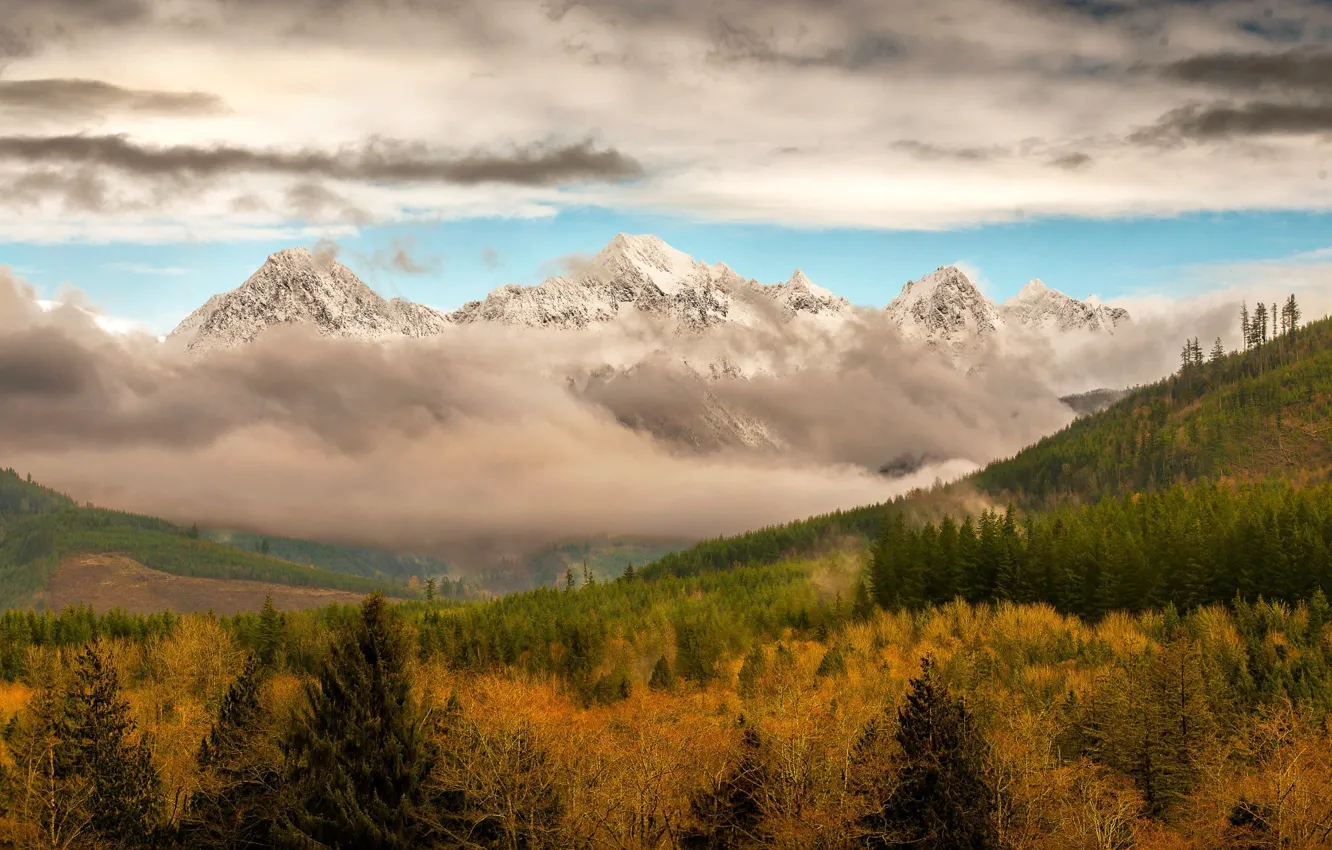 Фото обои осень, лес, облака, горы, туман, леса