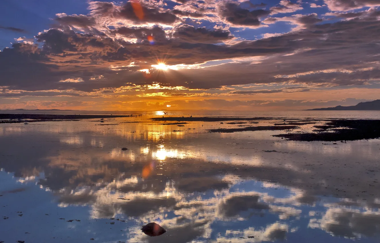 Фото обои ocean, sunset, clouds, birds, reflections