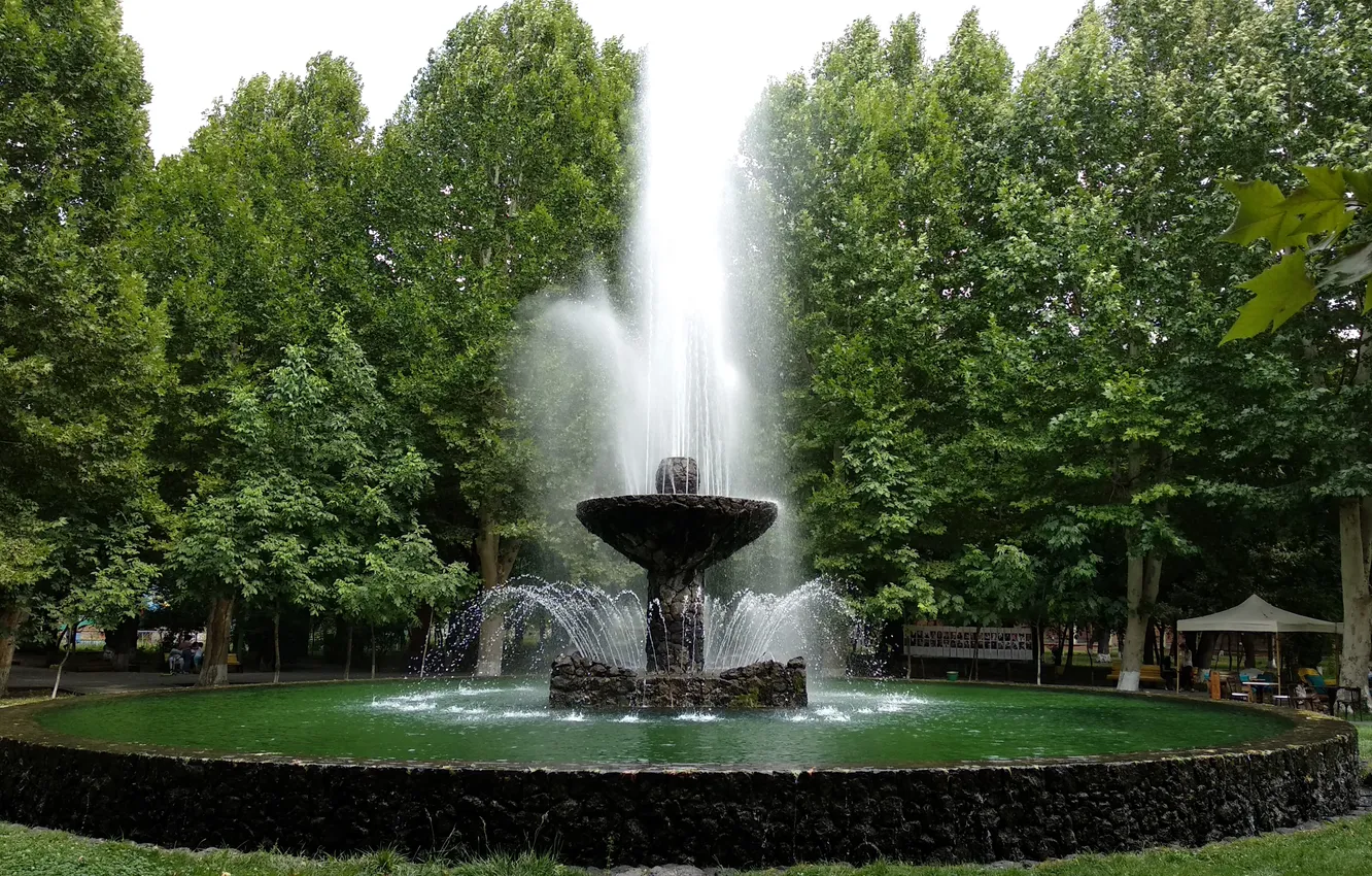 Фото обои лето, вода, деревья, green, сад, summer, зеленое, trees