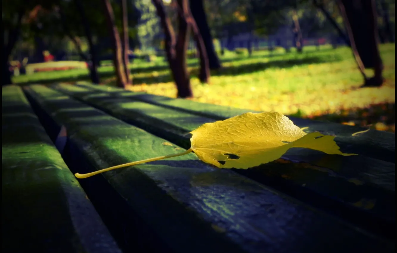 Фото обои осень, скамейка, лист, парк, аллея