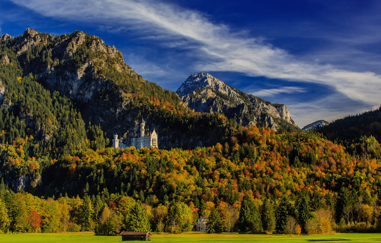 Фото обои осень, лес, горы, Германия, Бавария, Germany, Bavaria, Neuschwanstein Castle