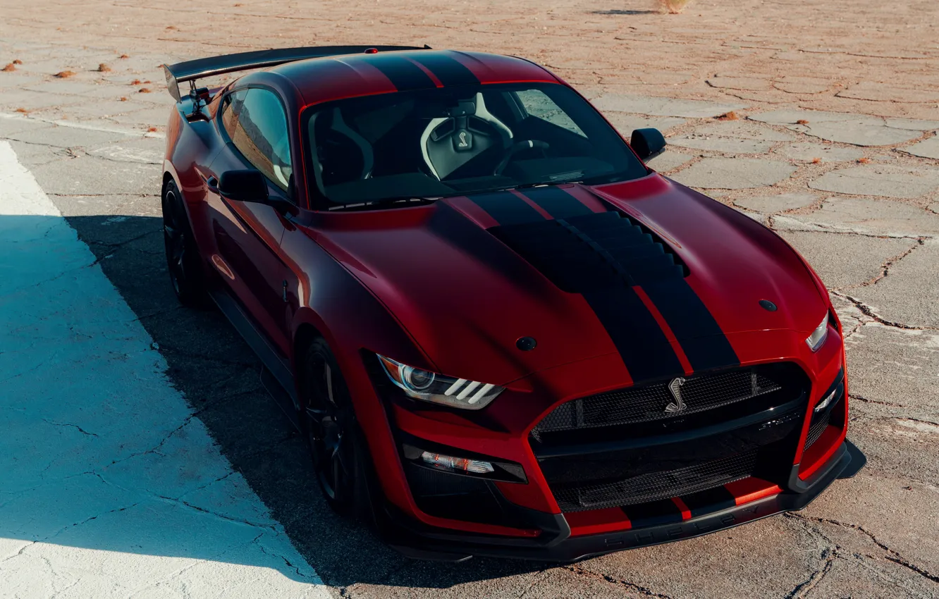 Фото обои Mustang, Ford, Shelby, GT500, тень, кровавый, 2019