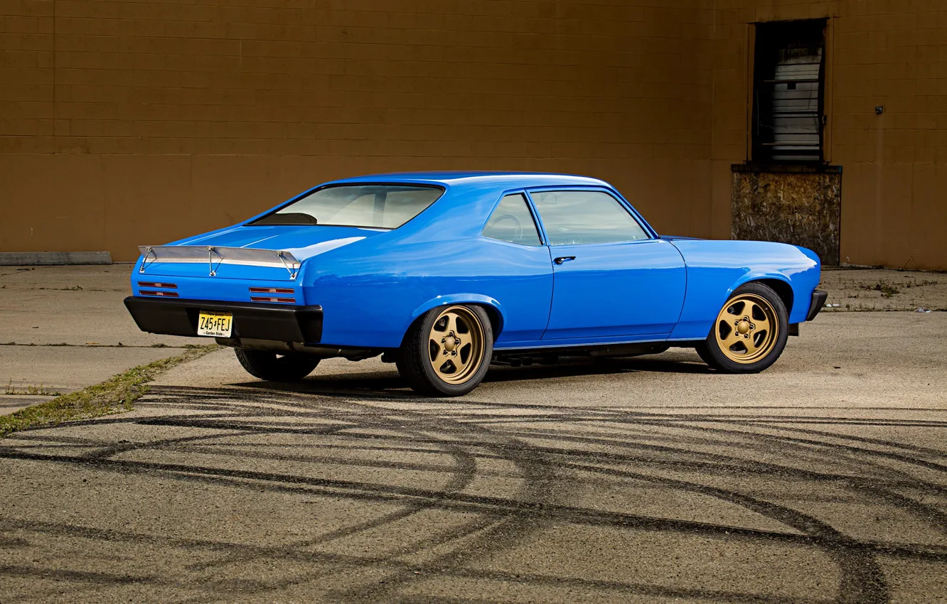 Фото обои Blue, Coupe, Pontiac, Muscle car, Ventura