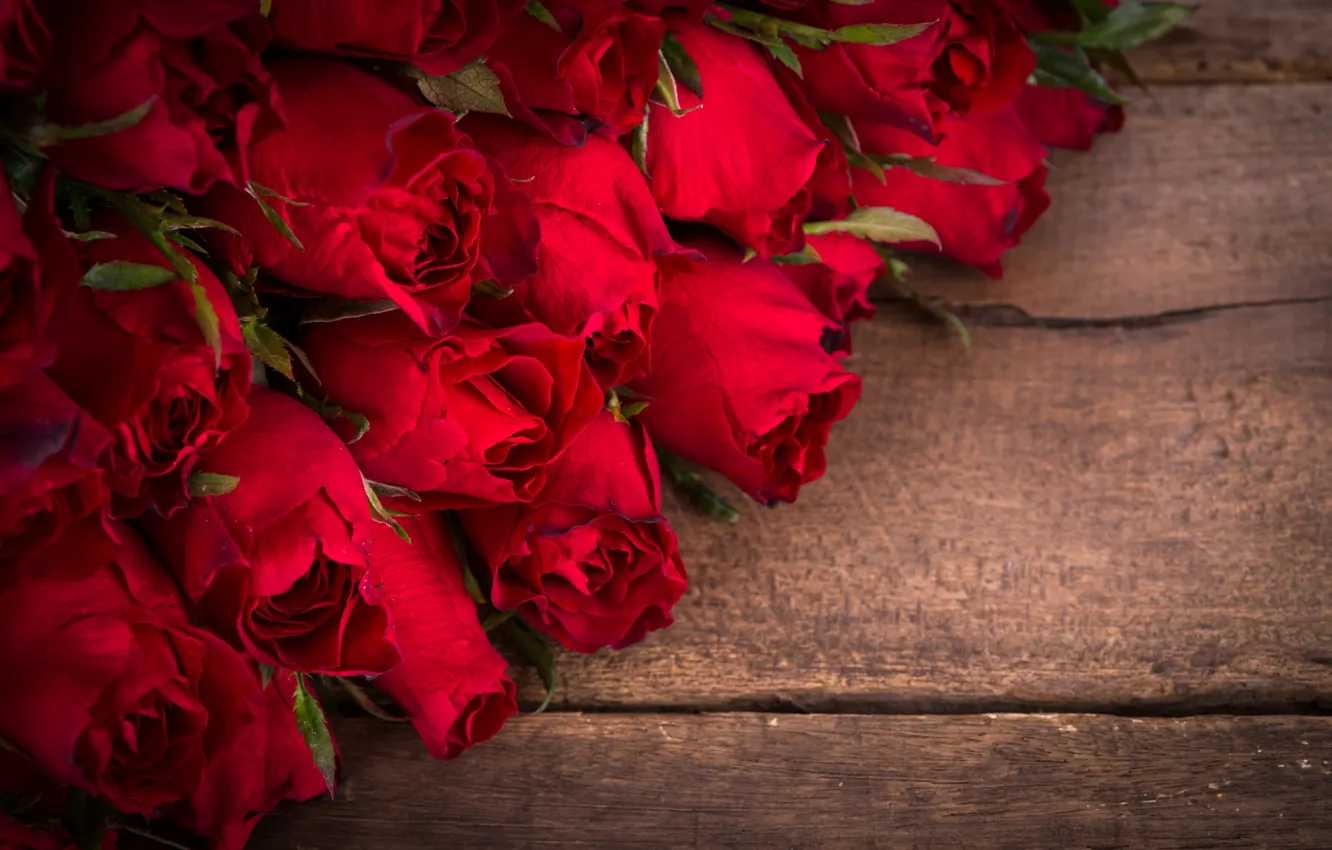 Фото обои цветы, розы, букет, бутоны, красные розы