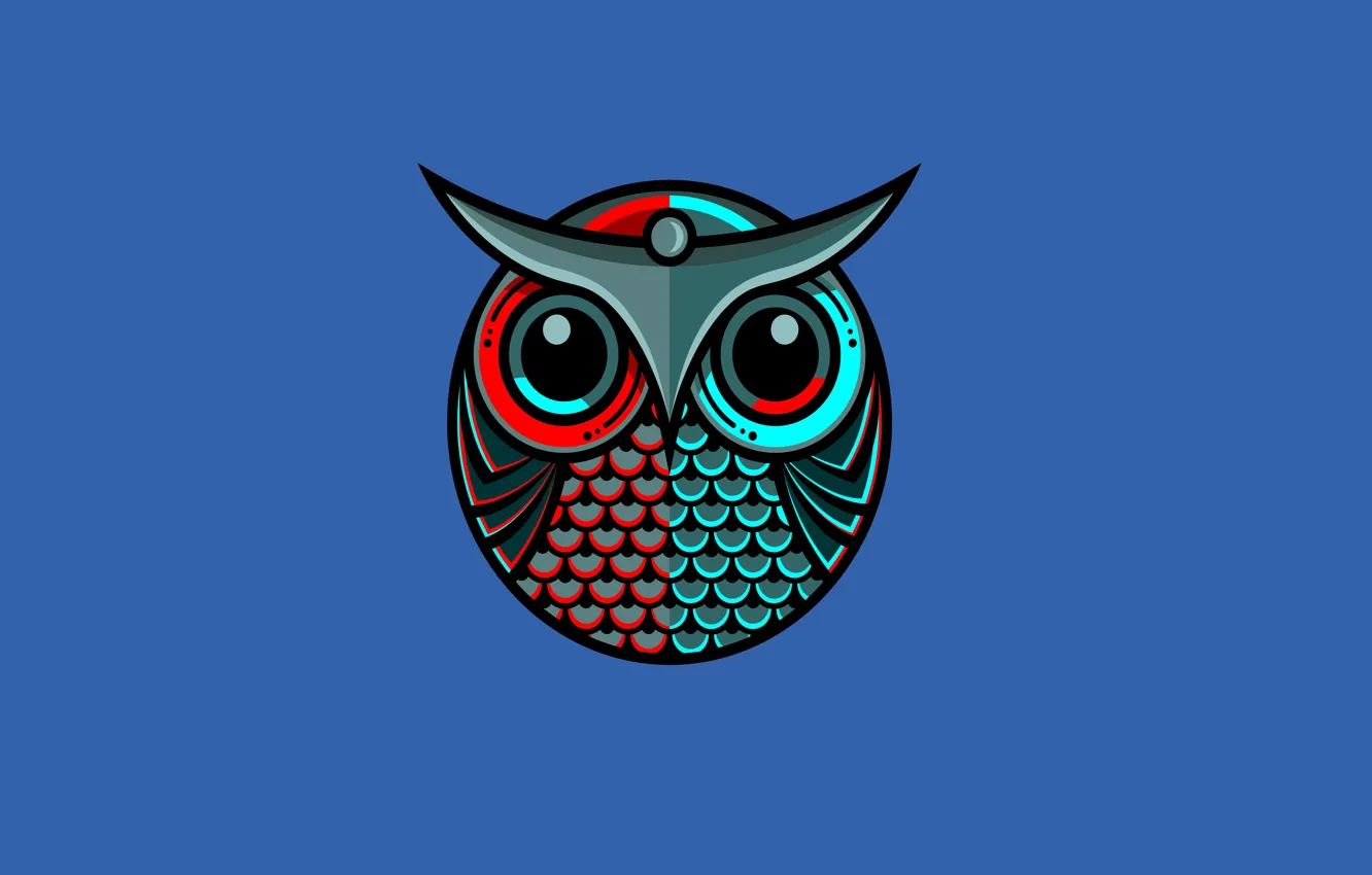 Фото обои синий, сова, птица, минимализм, owl