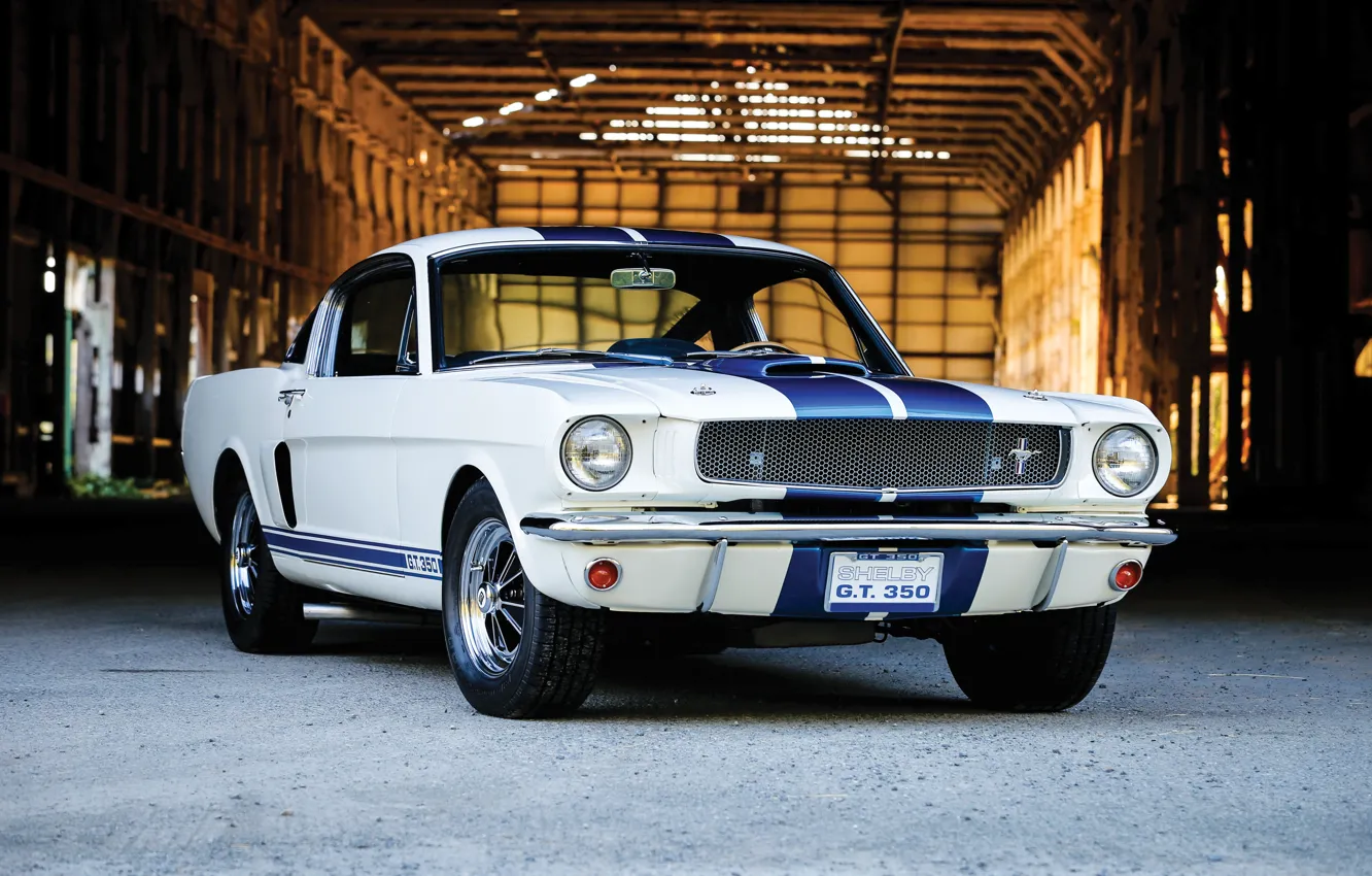 Фото обои Mustang, Ford, muscle car, Ford Mustang Shelby GT350