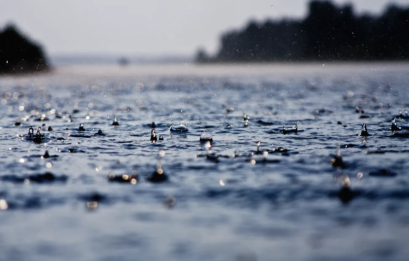 Фото обои мокро, вода, капли, дождь, капля, ливень, дожди, ливни