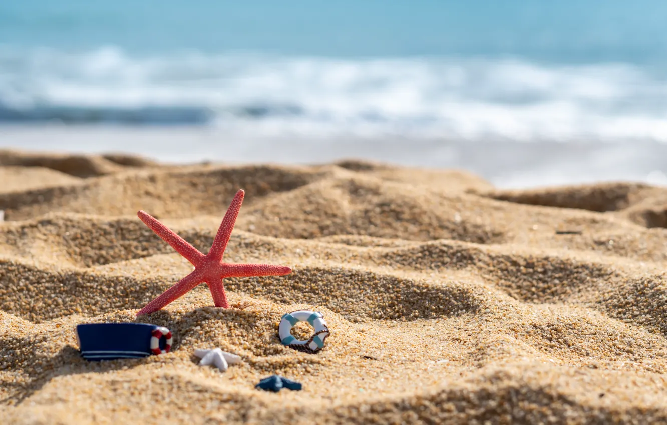 Фото обои песок, море, волны, пляж, лето, берег, звезда, ракушки