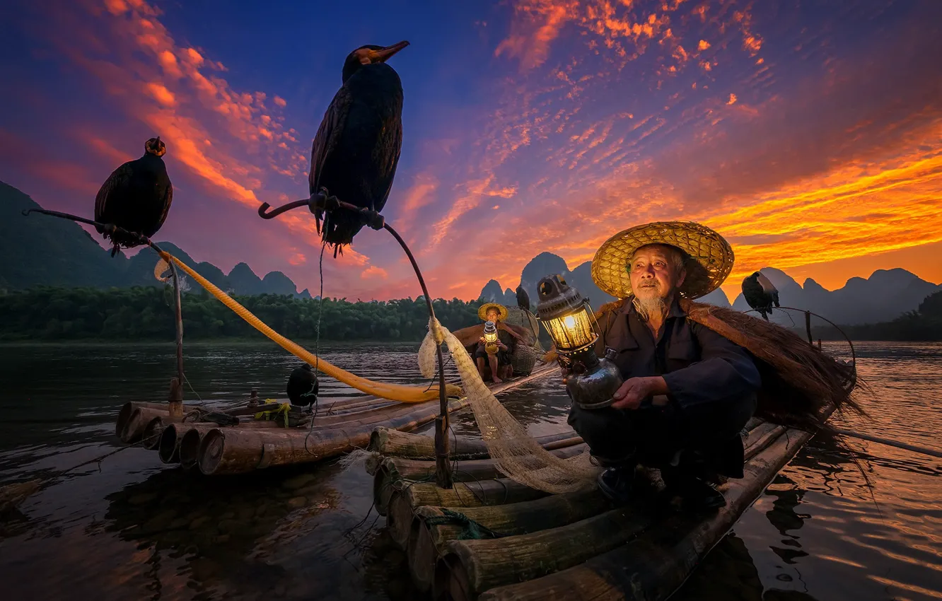 Фото обои птица, лодка, рыбак, Китай, баклан, Гуанси