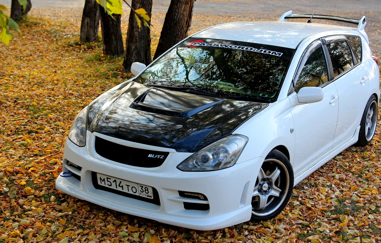 Фото обои машина, осень, листья, тюнинг, белая, white, Toyota, спереди