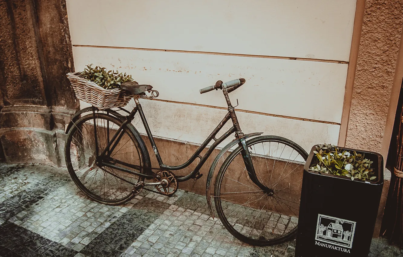 Фото обои ретро, брусчатка, Прага, Европа, Велосипед, винтаж, Инсталяция
