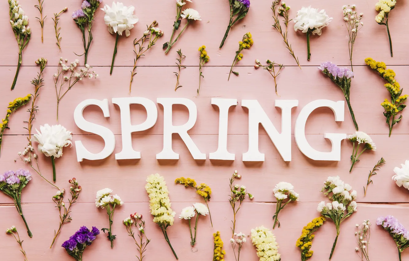 Фото обои цветы, фон, розовый, весна, pink, flowers, spring, purple