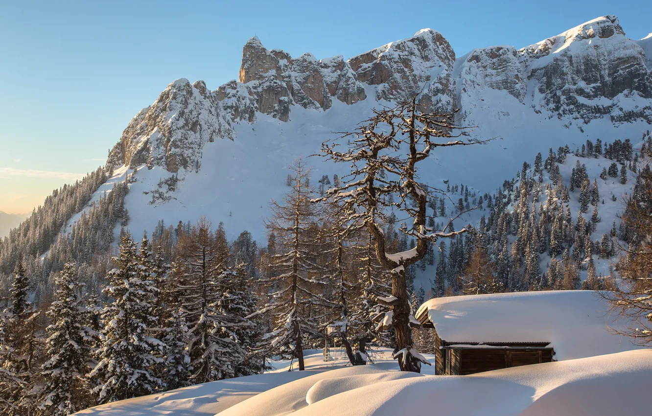 Фото обои зима, лес, снег, горы, Австрия, Альпы, домик, Torsten Muehlbacher photography