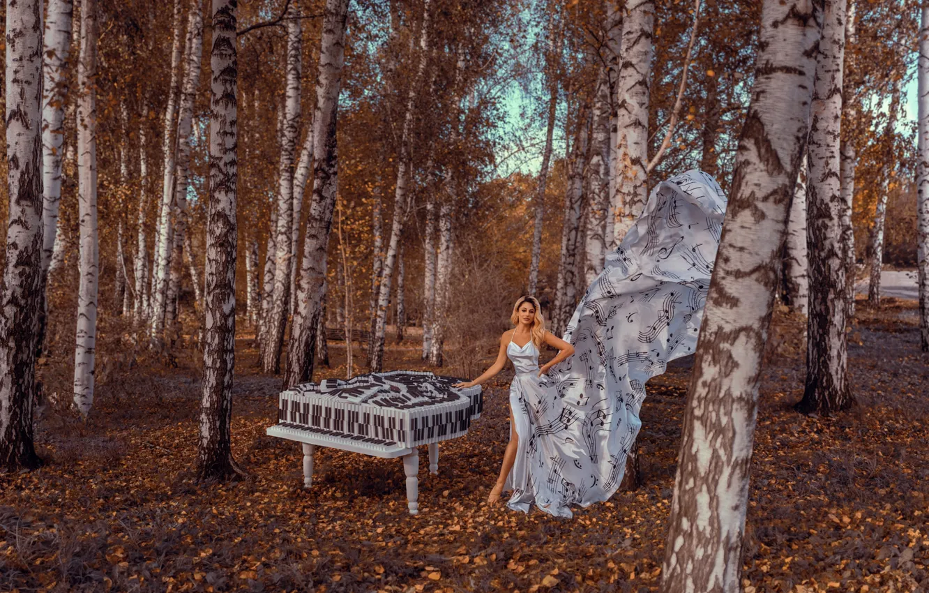 Фото обои осень, лес, взгляд, девушка, природа, поза, стиль, парк