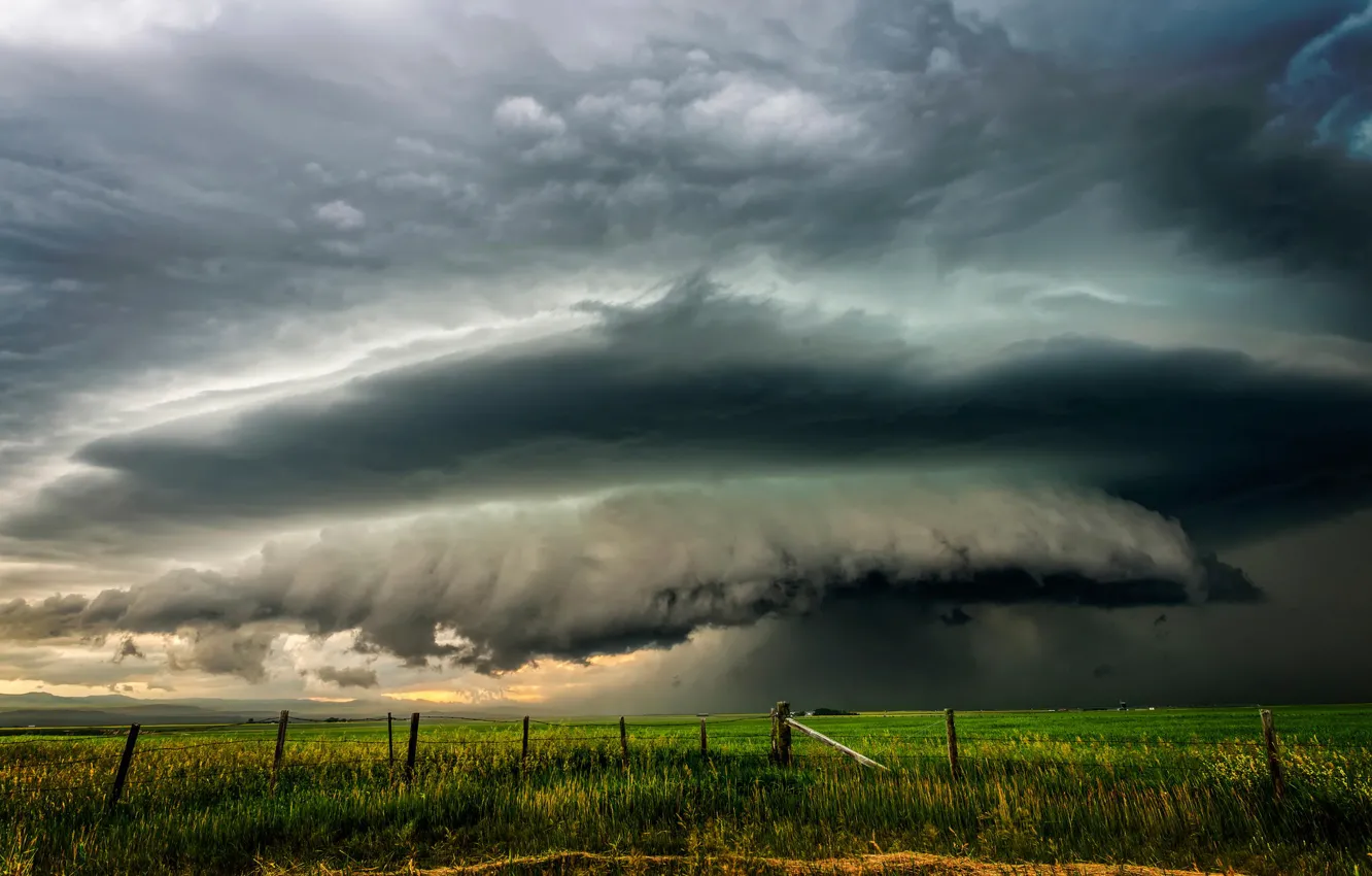 Фото обои поле, тучи, Southern Alberta