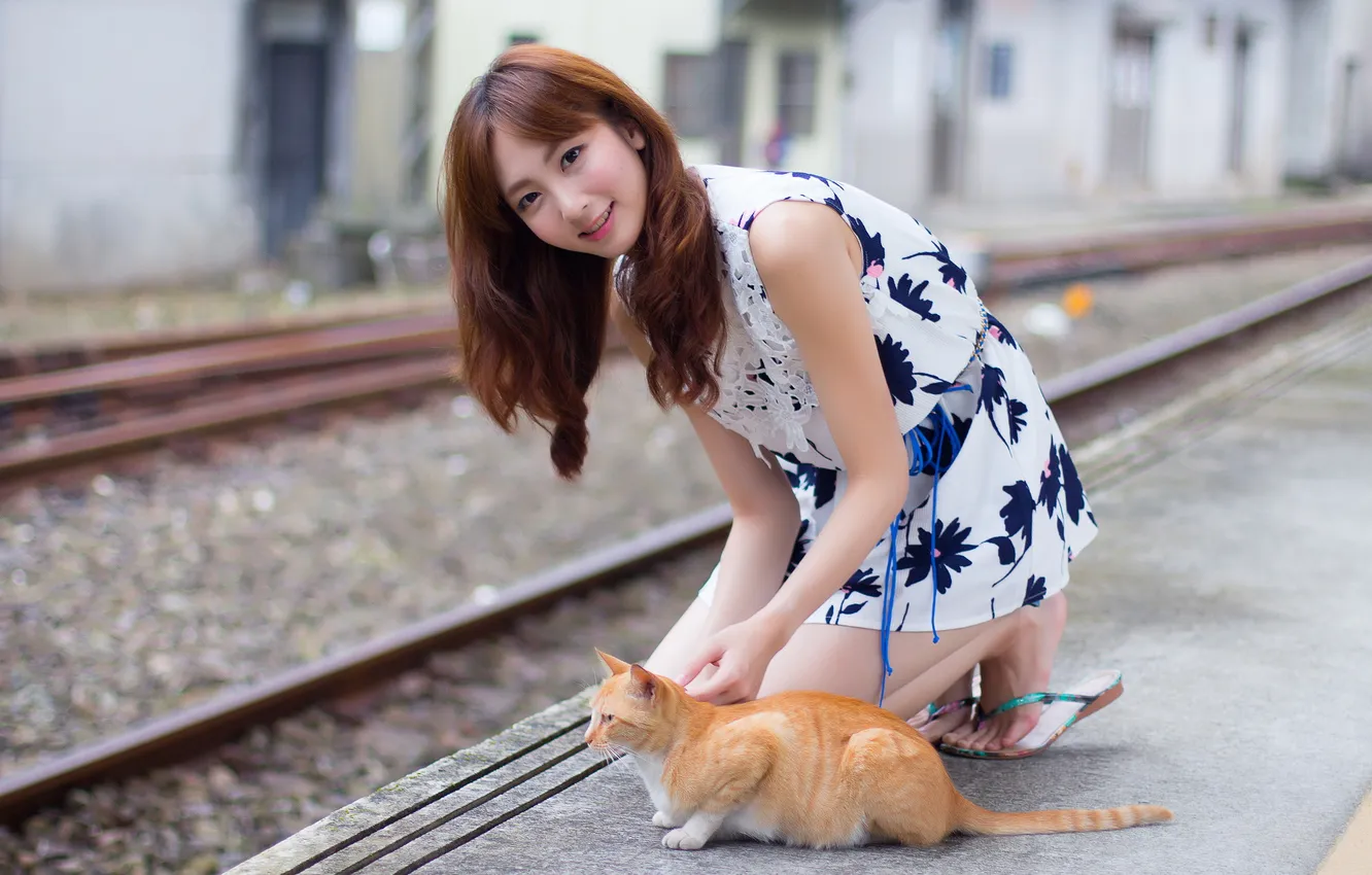 Фото обои кошка, девушка, азиатка