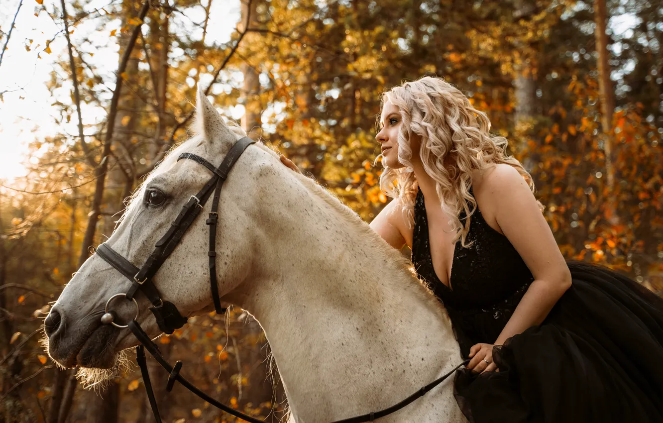Фото обои конь, платье, блондинка, осенний лес