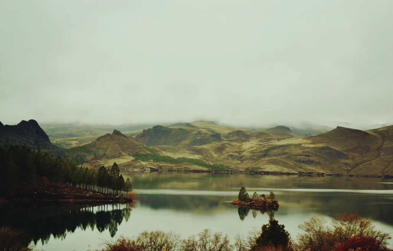 Фото обои деревья, горы, туман, озеро, островок